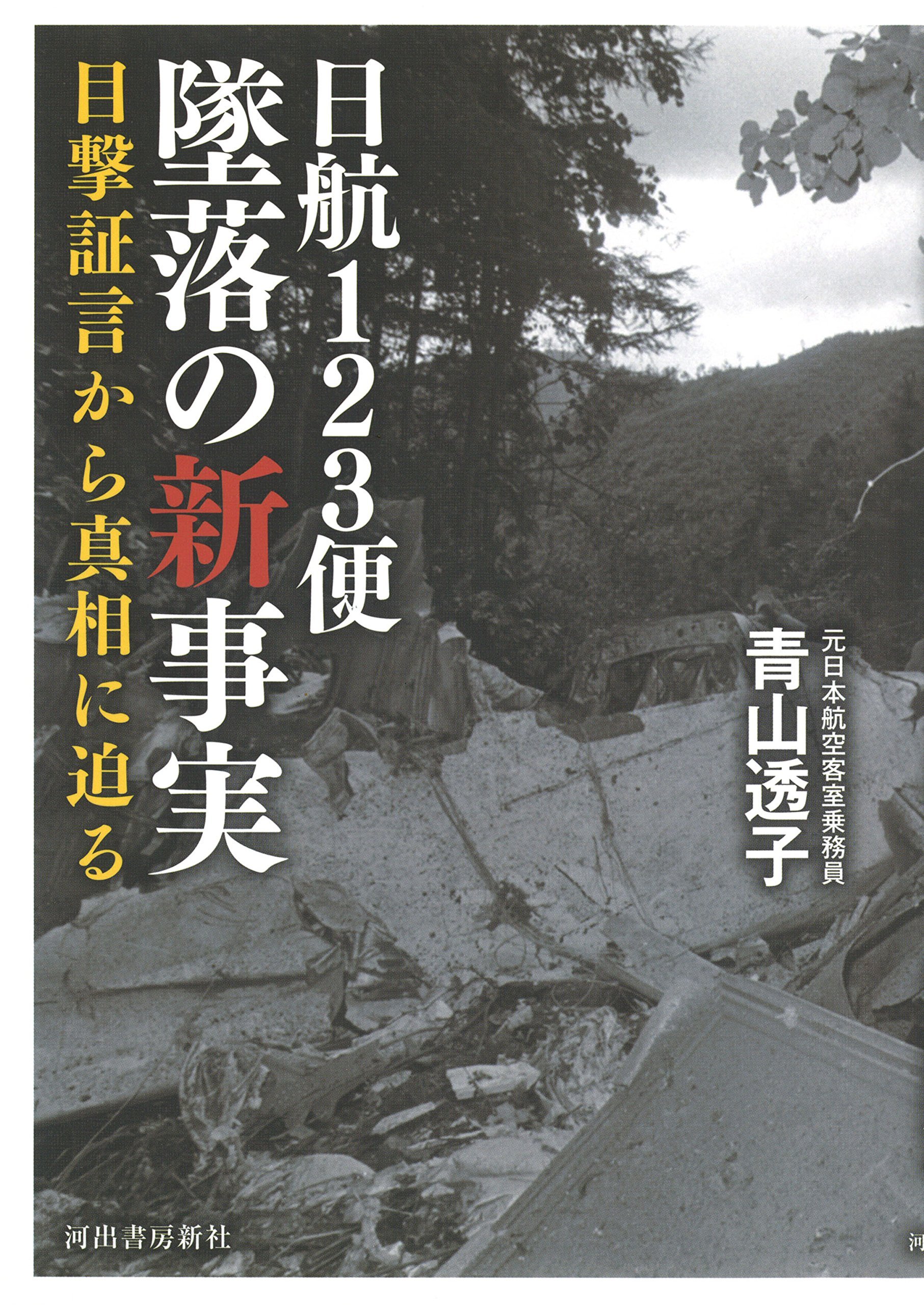 日航123便墜落の新事実　目撃証言から真相に迫る